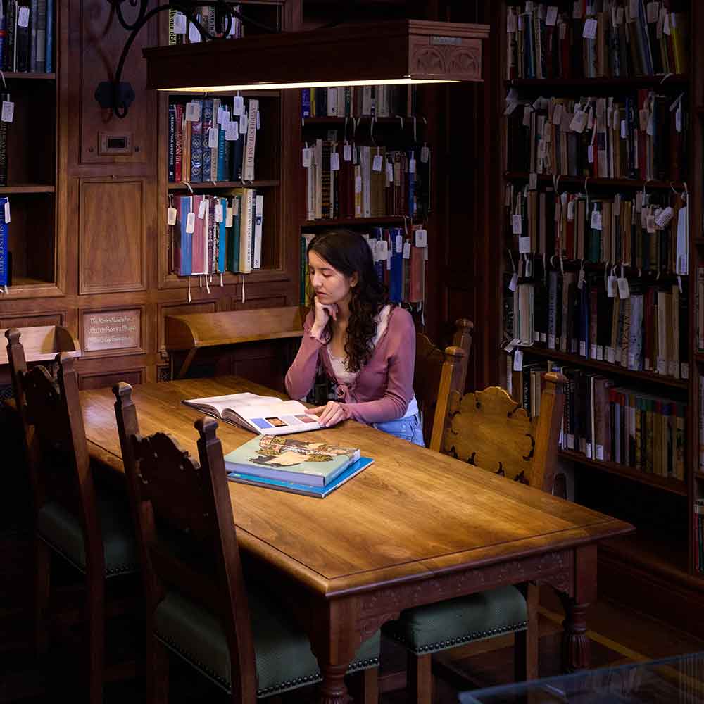 Student studying at Denison Library