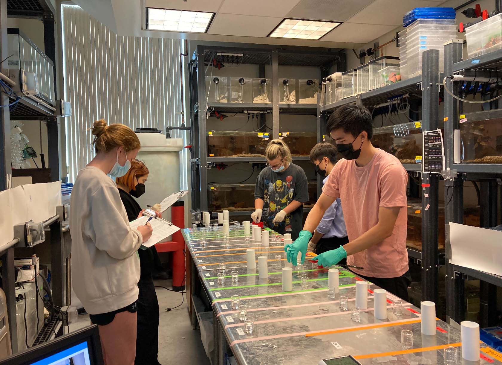 A group of young researchers working on samples.