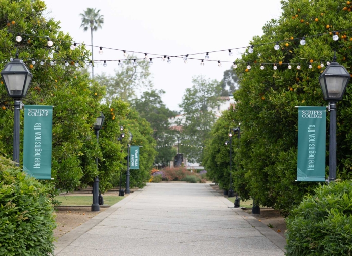 Orange tress with string lights and lamp post banners