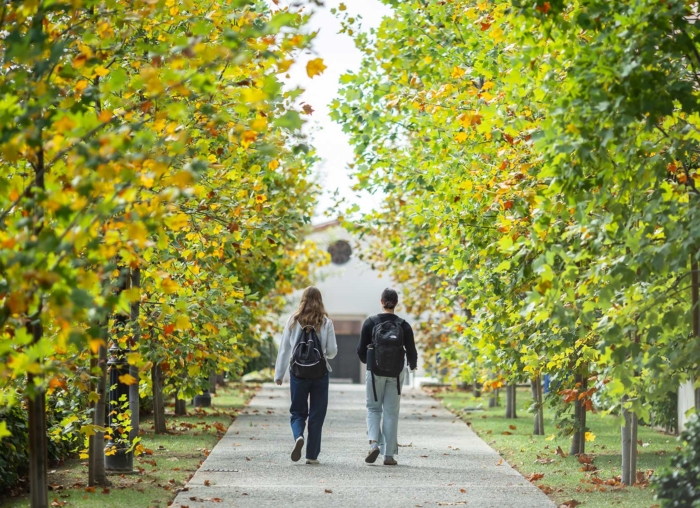 Two students walking along Tulip Walk
